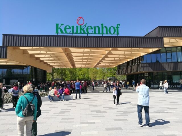 キューケンホフ公園 Keukenhof オランダ チューリップ アクセス