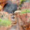 Splash Mountain