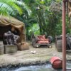 Jungle Cruise