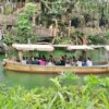 Jungle River Cruise