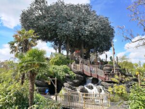 La Cabane des Robinson