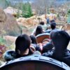 Seven Dwarfs Mine Train