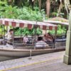 Jungle Cruise: Wildlife Expeditions