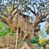 Tom Sawyer Island Rafts