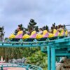 Flounder's Flying Fish Coaster