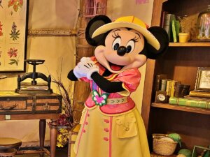 Mickey & Friends' Greeting Trails (Minnie Mouse)