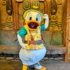 Mickey & Friends' Greeting Trails (Donald)