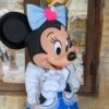 DisneySea Plaza (Disney Character Greeting)