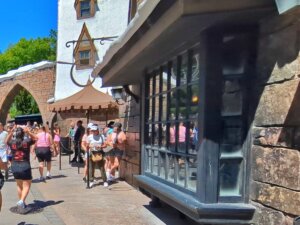 Ollivanders™ Experience in Hogsmeade™