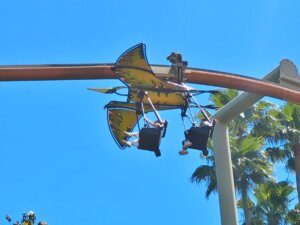 Pteranodon Flyers™