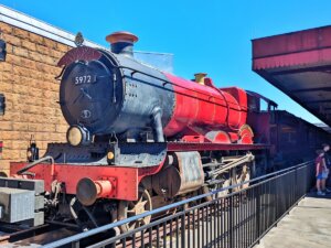 Hogwarts™ Express - Hogsmeade™ Station