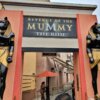 Revenge of the Mummy – The Ride