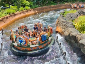 Kali River Rapids