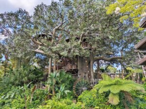 Swiss Family Treehouse