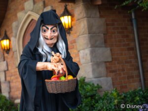 Meet Evil Witch at Seven Dwarfs Mine Train